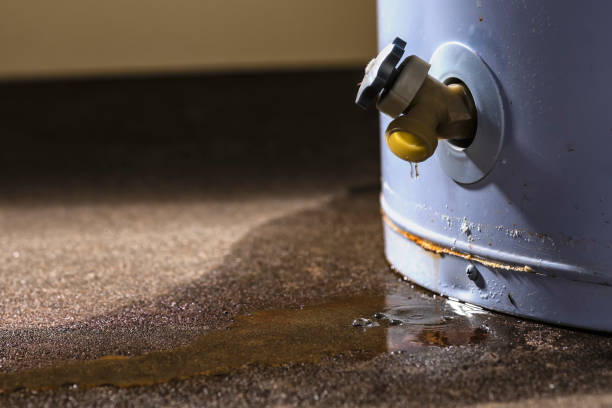 Best Water damage restoration company  in Brooklyn Center, MN
