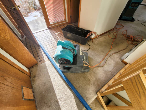 Best Basement water damage restoration  in Brooklyn Center, MN