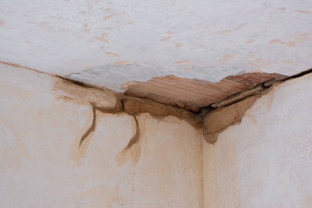 Best Flood damage cleanup  in Brooklyn Center, MN
