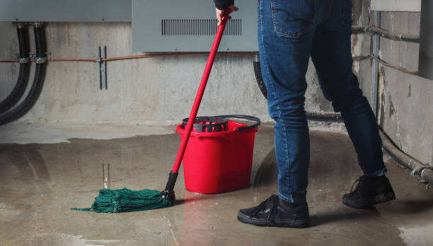Best Ceiling water damage repair  in Brooklyn Center, MN