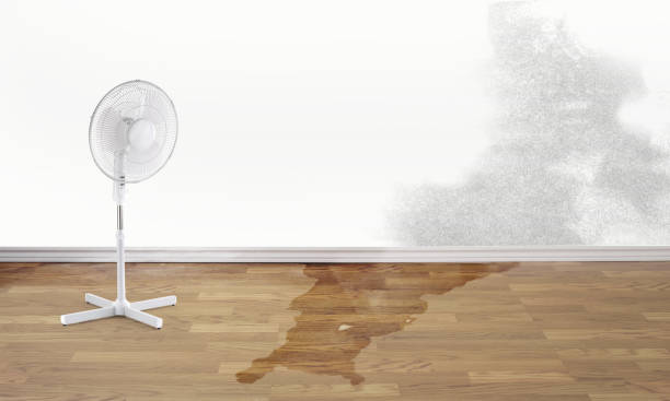 Sewage cleanup and water damage restoration in Brooklyn Center, MN
