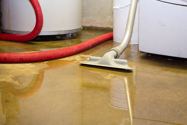  Brooklyn Center, MN Water damage restoration Pros