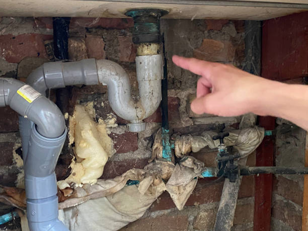 Best Mold removal after water damage  in Brooklyn Center, MN
